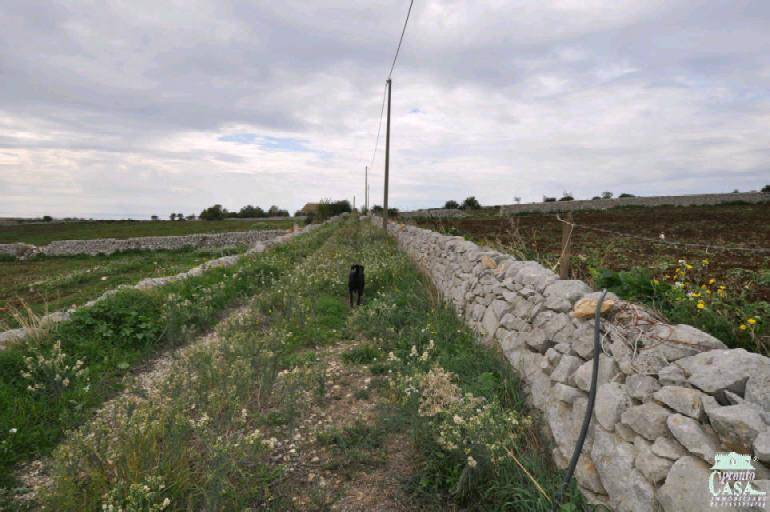 terreno agricolo in vendita a Ragusa in zona Donnafugata