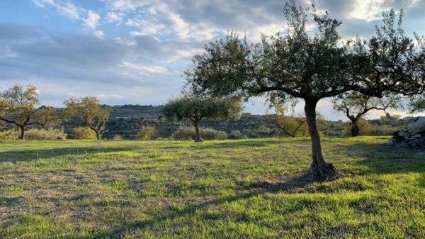 terreno agricolo in vendita a Ragusa in zona San Giacomo / Bellocozzo