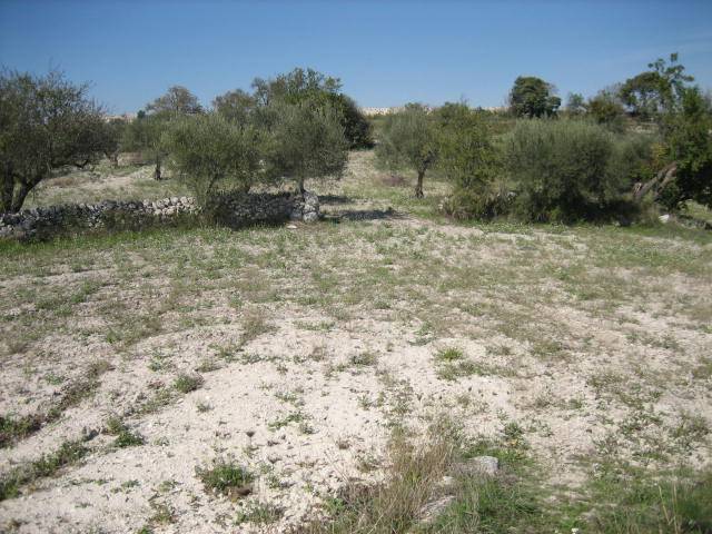 terreno agricolo in vendita a Ragusa in zona San Giacomo / Bellocozzo