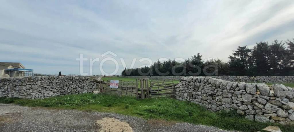 terreno agricolo in vendita a Ragusa