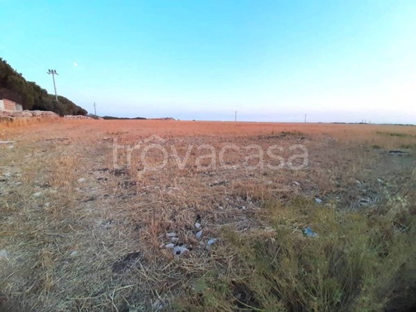 terreno agricolo in vendita a Ragusa in zona Marina