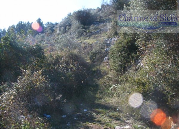 terreno agricolo in vendita a Ragusa