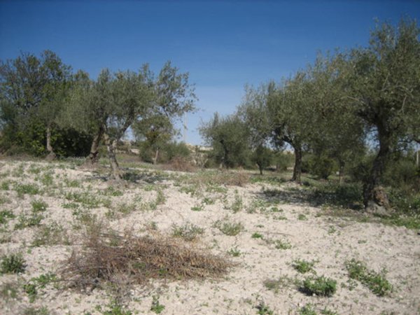 casa indipendente in vendita a Ragusa in zona San Giacomo / Bellocozzo