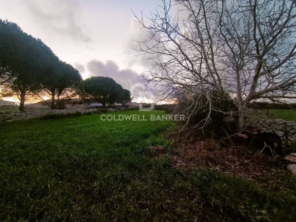 terreno agricolo in vendita a Ragusa