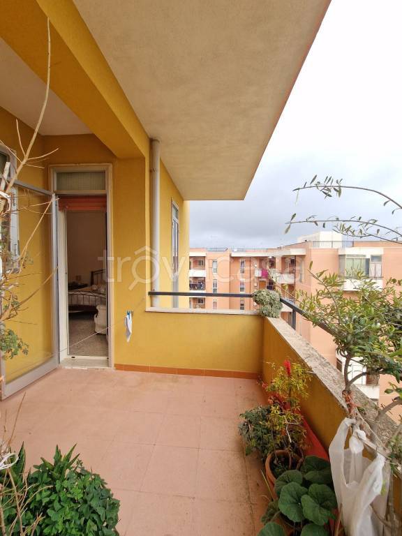 appartamento in vendita a Ragusa