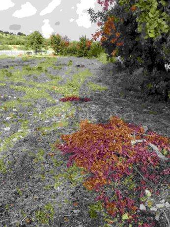 appartamento in vendita a Ragusa in zona Marina