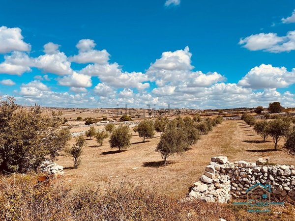 esavano in vendita a Ragusa in zona Marina