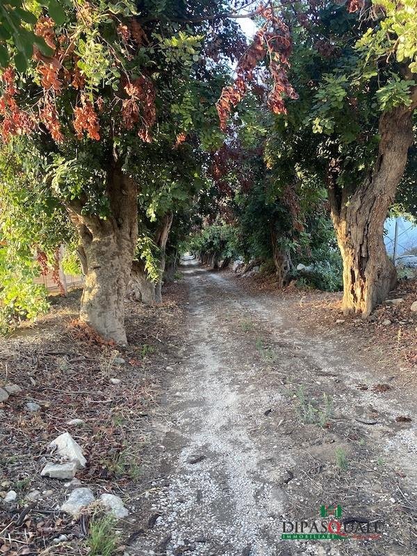 casa indipendente in vendita a Ragusa in zona Marina