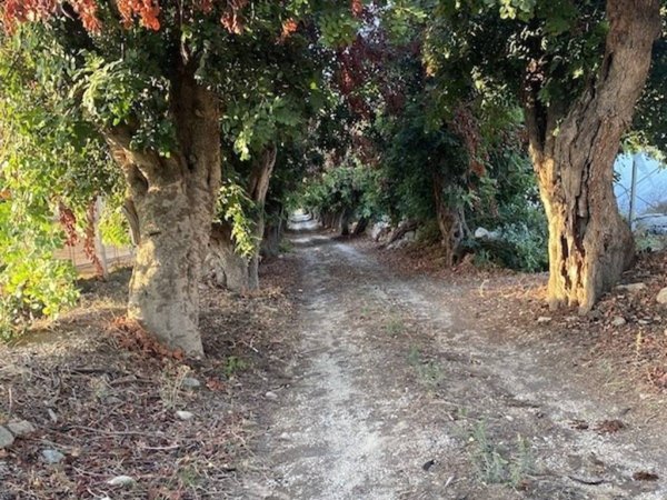 casa indipendente in vendita a Ragusa in zona Marina