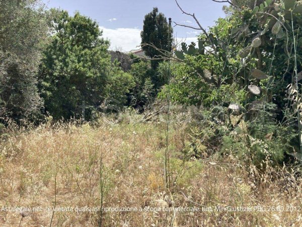 terreno agricolo in vendita a Ragusa
