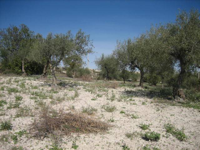casa indipendente in vendita a Ragusa in zona San Giacomo / Bellocozzo