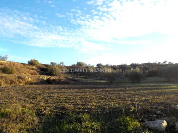 terreno agricolo in vendita a Ragusa in zona San Giacomo / Bellocozzo