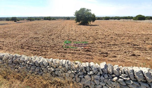 appartamento in vendita a Ragusa in zona Marina