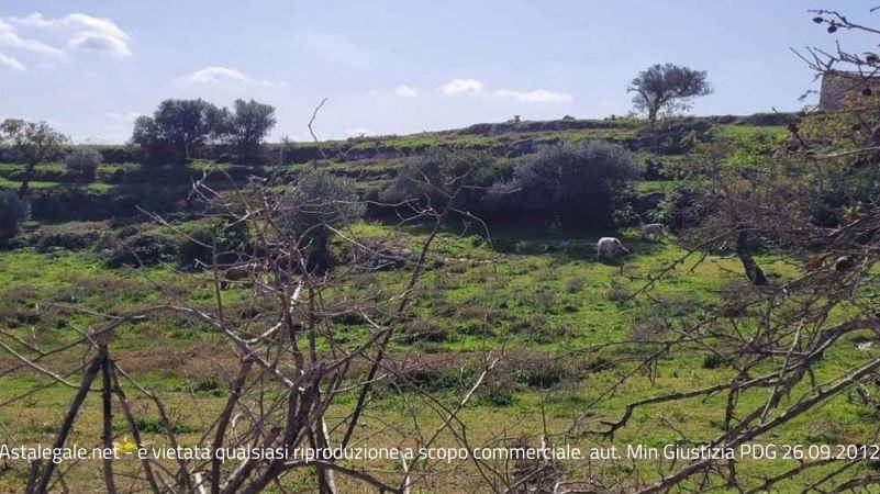terreno agricolo in vendita a Ragusa in zona San Giacomo / Bellocozzo