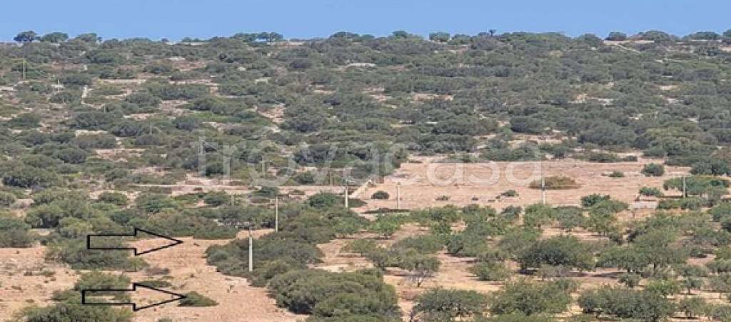 terreno agricolo in vendita a Ragusa in zona Marina