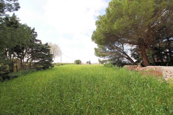 terreno agricolo in vendita a Ragusa