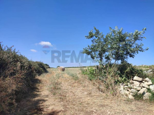 terreno agricolo in vendita a Ragusa in zona Marina