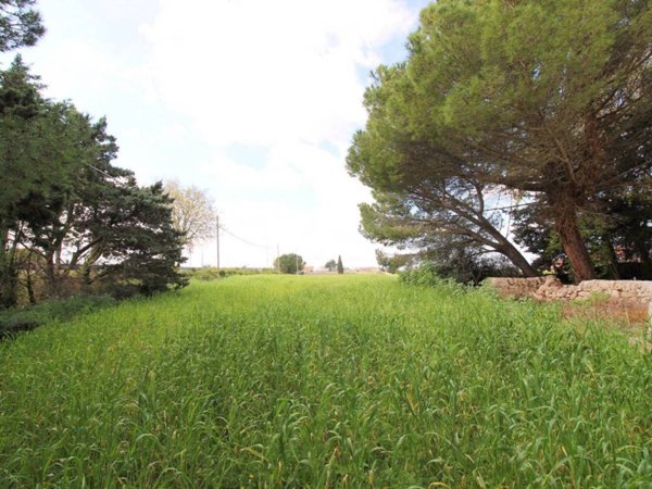 terreno agricolo in vendita a Ragusa in zona Punta Braccetto