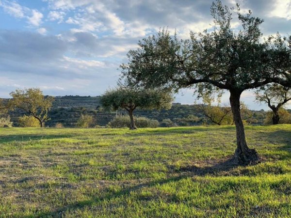 terreno agricolo in vendita a Ragusa in zona Ibla