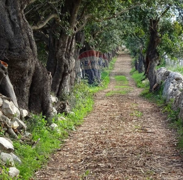 casa indipendente in vendita a Ragusa in zona Marina