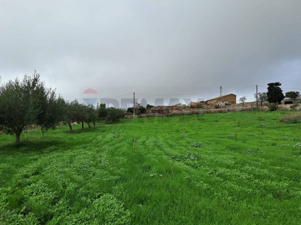 terreno agricolo in vendita a Ragusa in zona Punta Braccetto