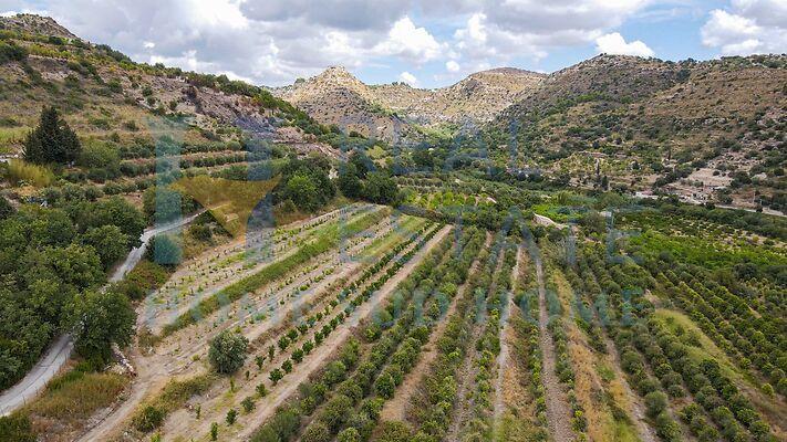 terreno agricolo in vendita a Ragusa
