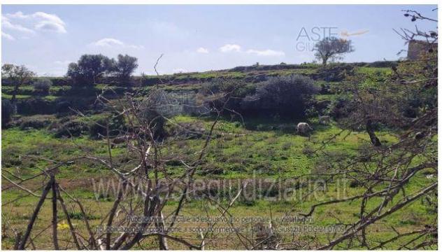 terreno agricolo in vendita a Ragusa in zona San Giacomo / Bellocozzo
