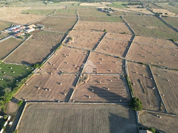 terreno agricolo in vendita a Ragusa in zona Punta Braccetto