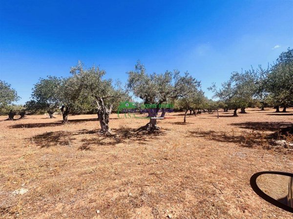 casa indipendente in vendita a Ragusa in zona Donnafugata