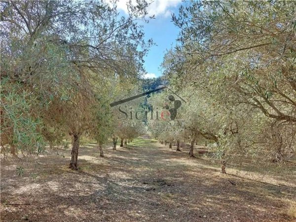 casa indipendente in vendita a Ragusa in zona Donnafugata