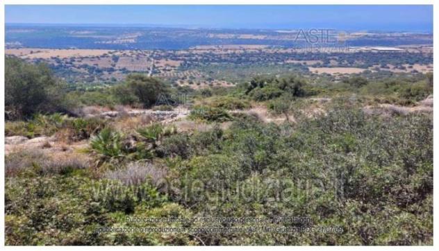 terreno agricolo in vendita a Ragusa