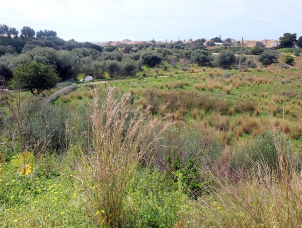 terreno agricolo in vendita a Ragusa in zona Marina
