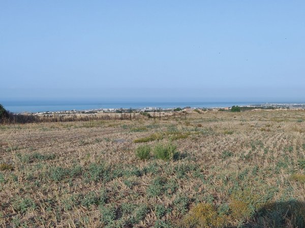 terreno agricolo in vendita a Ragusa in zona Marina