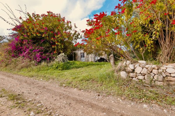 terreno agricolo in vendita a Ragusa in zona Marina