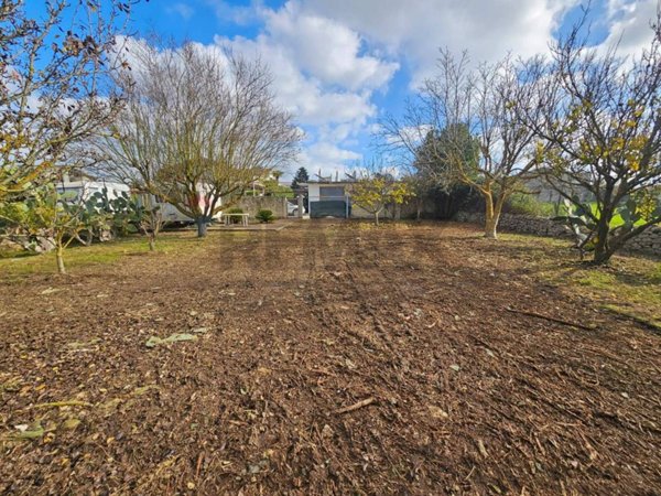 terreno agricolo in vendita a Ragusa