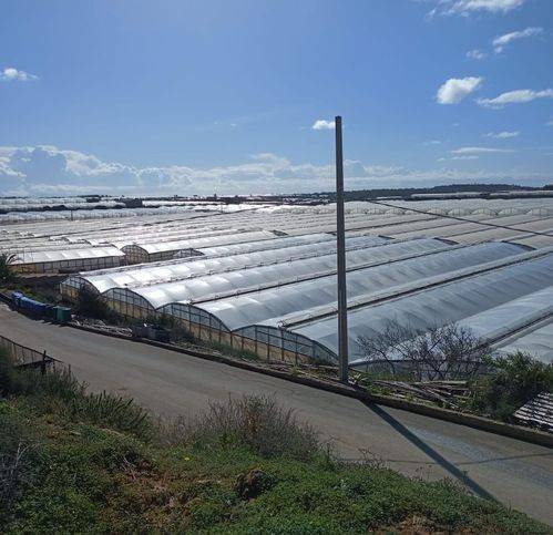 terreno agricolo in vendita a Ragusa in zona Donnafugata
