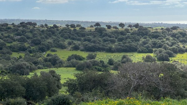 casa indipendente in vendita a Ragusa in zona Ragusa Centro