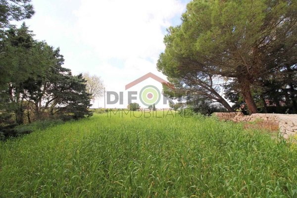 terreno agricolo in vendita a Ragusa