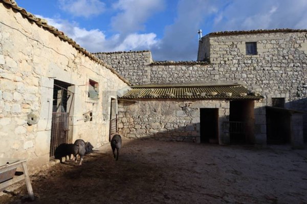 locale di sgombero in vendita a Ragusa