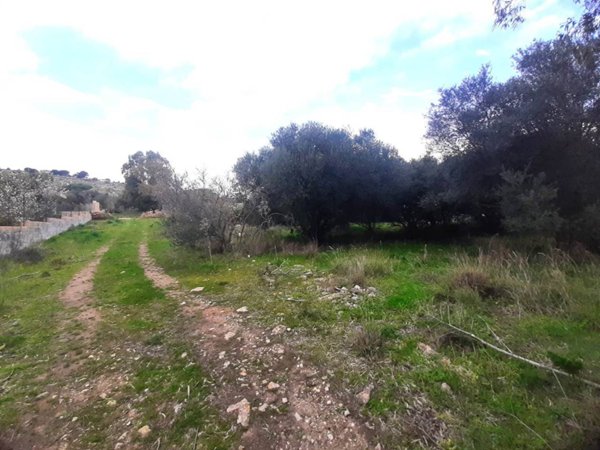 terreno agricolo in vendita a Ragusa