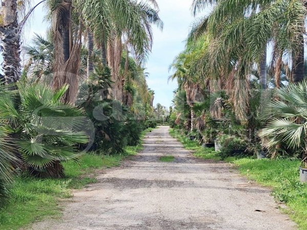 ufficio in vendita a Ragusa in zona Marina