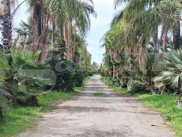 ufficio in vendita a Ragusa in zona Marina