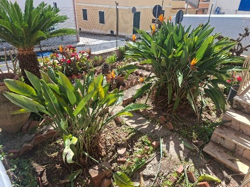 casa indipendente in vendita a Ragusa in zona Marina