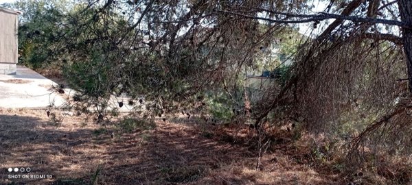 casa indipendente in vendita a Ragusa