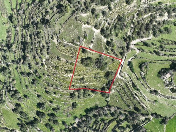 terreno agricolo in vendita a Ragusa in zona San Giacomo / Bellocozzo