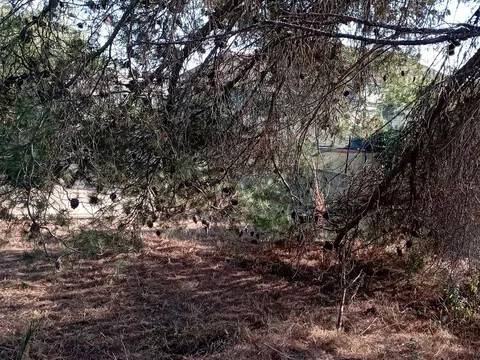 casa indipendente in vendita a Ragusa in zona Donnafugata