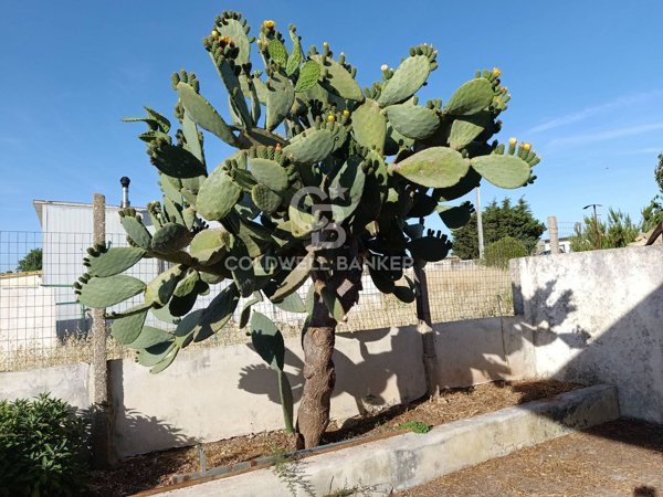 casa indipendente in vendita a Ragusa in zona Marina