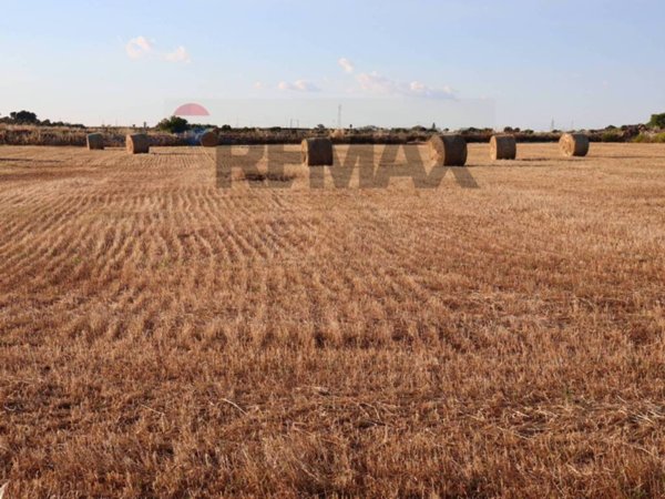 terreno agricolo in vendita a Ragusa
