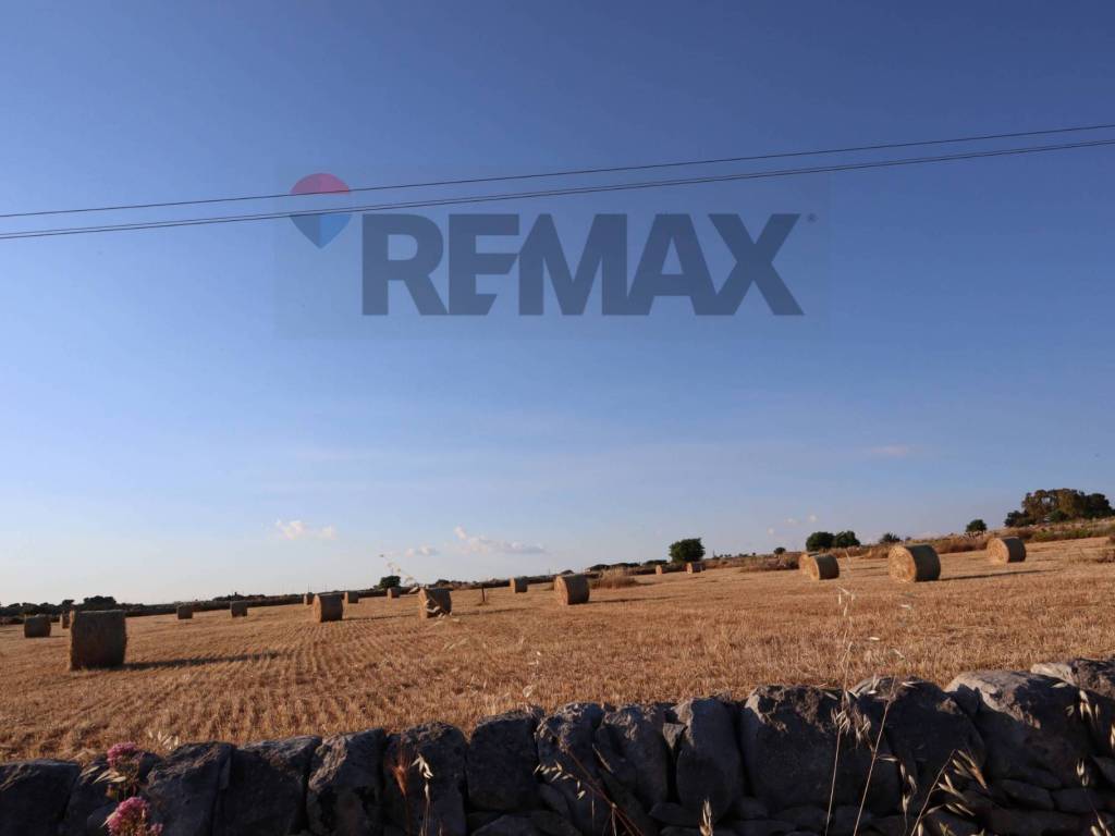 terreno agricolo in vendita a Ragusa