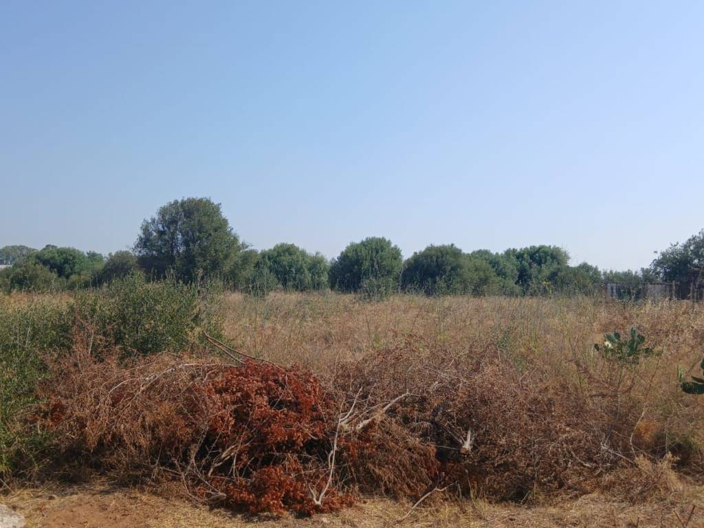 terreno edificabile in vendita a Ragusa in zona Marina